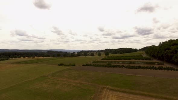 Drone Flight Agriculture White Space Sky.