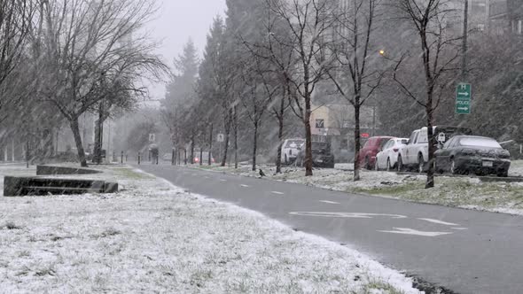 Snowstorm Day - City Street - Road Sidewalk alt