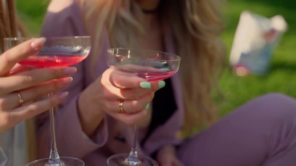 Girlfriends drinking red champagne in park outdoors closeup. Female persons having fun outside