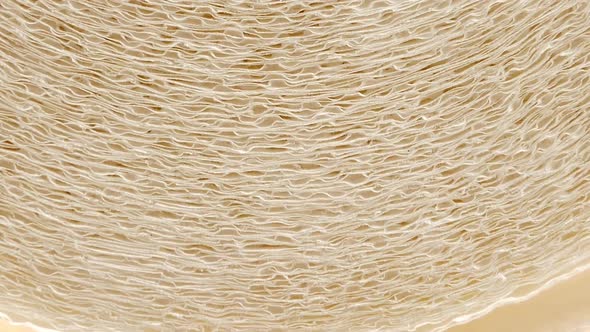 Roll of paper kitchen towels texture