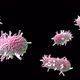 The bacterium moves - VideoHive Item for Sale
