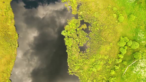 A Wonderful Deep Swampy Lake the Sky is Reflected in the Water