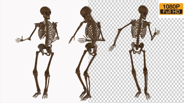 Skeleton Dance 2
