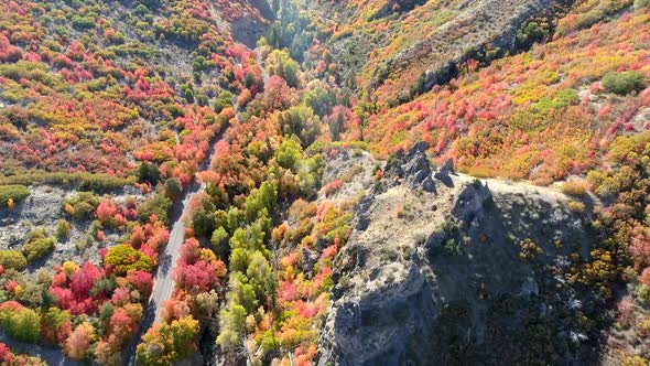 Flying through canyon with vivid Fall colors