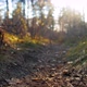 Shaded Narrow Grassy Path at Sunset - VideoHive Item for Sale