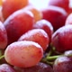 red grape - VideoHive Item for Sale