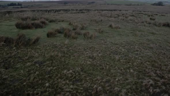 Irish peat bog aerial view