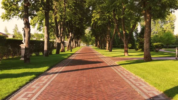 Red Cobblestone Pathway Alley with No People Around