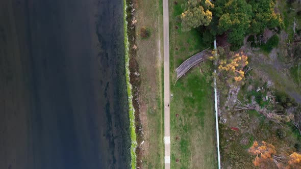 Drone looking straight down at a path between the ocean and parklands. Fly's over pier and people pa