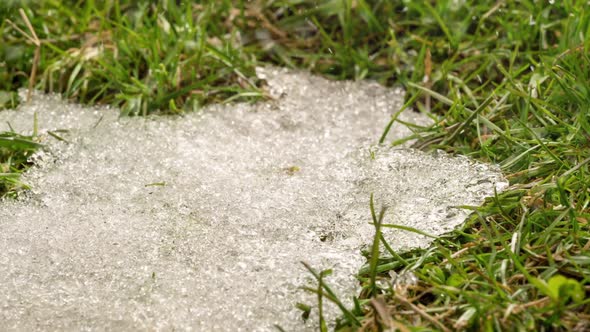 Snow is Snowing in Green Grassy Meadow in Cold Winter Time