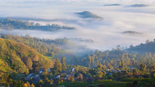 Morning Fog Landscape Timelapse