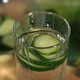 Closeup of a Glass of Cucumber Water Girl Adorns the Glass with a Cut Cucumber - VideoHive Item for Sale