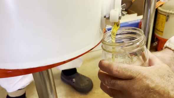 Closeup Beekeeper Pours Freshly Extracted Filtered Honey Into a Tank