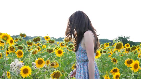 Side View of Carefree Woman Walking Among Blooming Sunflowers