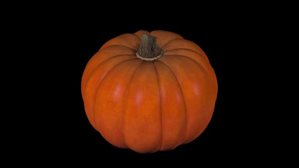 3D pumpkin spins on black background