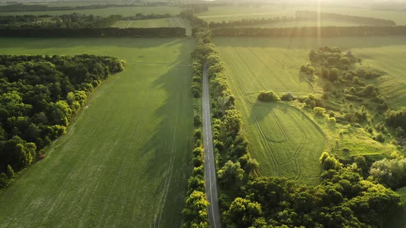 Countryside Asphalt Road in Sunset Light