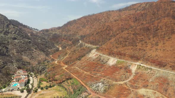 Big forest fire in the nature.