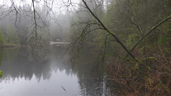 Beautiful View of Rice Lake