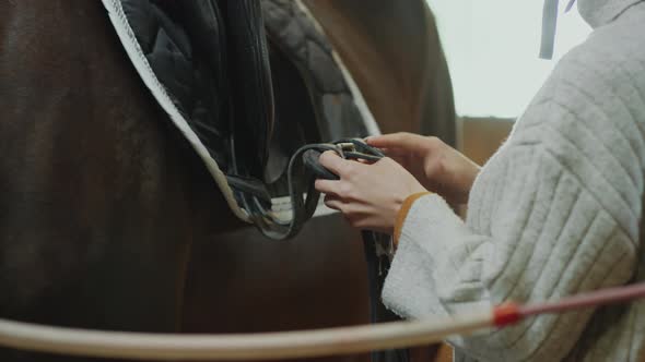 Woman Fastening Straps of Saddle on Horse