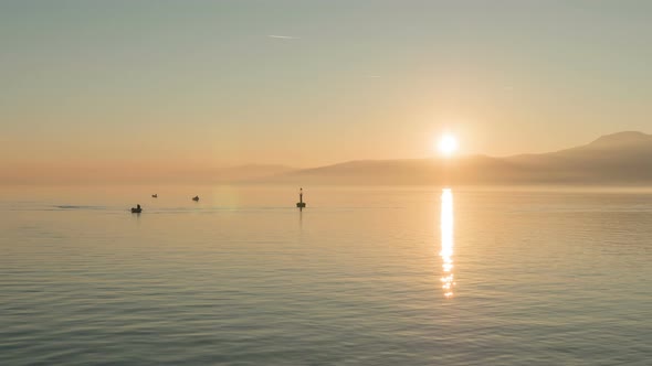 Timelapse of birds floating on water