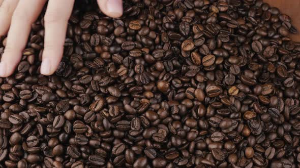 Top View of the Hand That Touches the Roasted Dark Coffee Beans