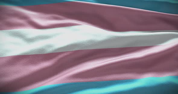 Transgender symbol flag