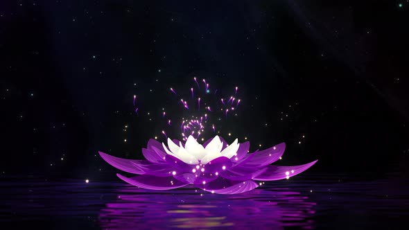 Night Water Surface Lotus Particle Background