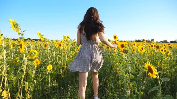 Camera Follow to Pretty Girl Running Through Field with Blooming Sunflowers