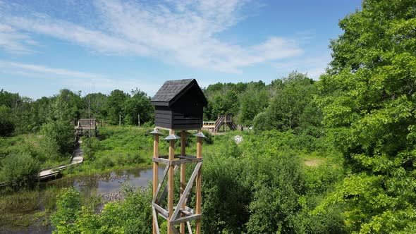 Elevated bat conservation maternity roost in forest during summer day