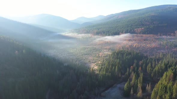 Aerial View of Mist and Morning Haze Over Virgin Forest