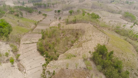 Agricultural Landscape in Indonesia