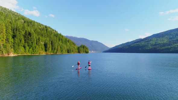 Couple rowing a stand up paddle board in the river 4k