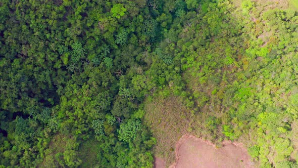 Aerial top-down forward over forest at San Jose de Ocoa in Dominican Republic