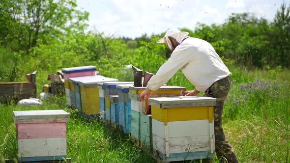 Apiarist among beehives