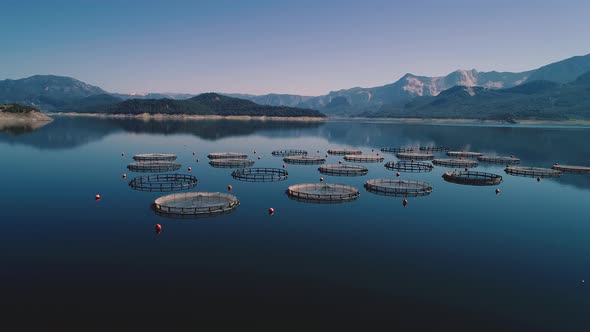 Aerial View Fish Farm