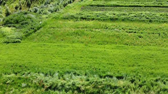 Aerial drone view of a flying over the rural agricultural landscape.