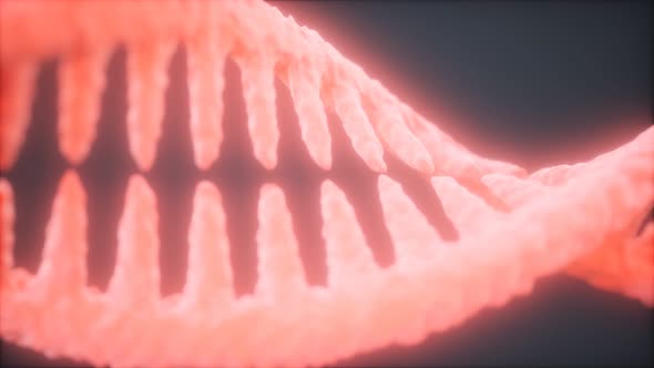Bright Particulate 3D DNA alt