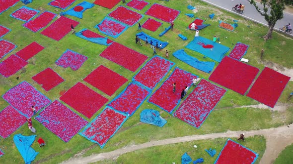 Aerial View of people waiting the chilies to be dried, Rajshahi, Bangladesh.