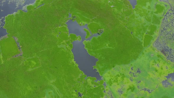 Aerial view of a small fishing boat sailing in a swamp, Dhaka, Bangladesh.