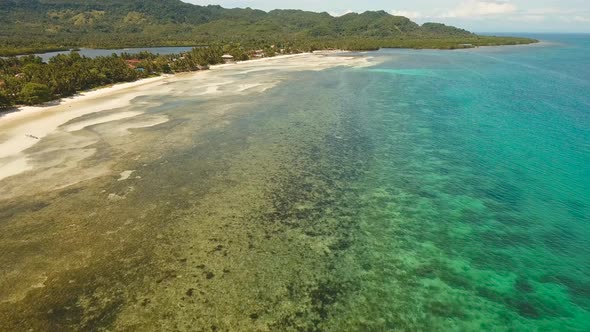 Tropical Beach and Turquoise Sea Philippines,Bohol