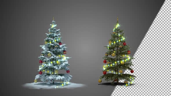 Christmas Tree Pack