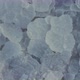 Unique Salt Crystals at a Salt Lake in Slow Motion - VideoHive Item for Sale