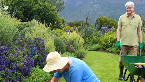 Senior couple gardening together