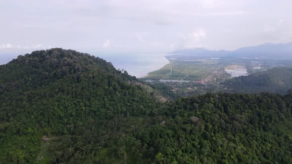 Aerial fly over the hill and reveal Balik Pulau