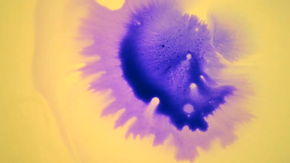 Beautiful Spreading Purple Ink Drops on Yellow Wet Smooth Surface