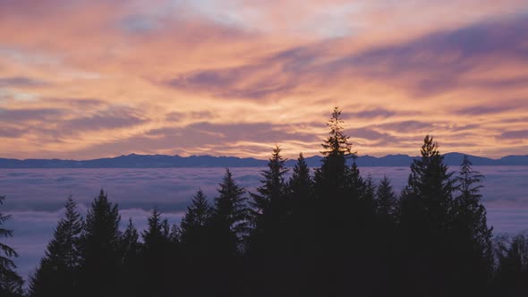 Canadian Nature View of Evergreen Trees on a Mountain Above the Clouds