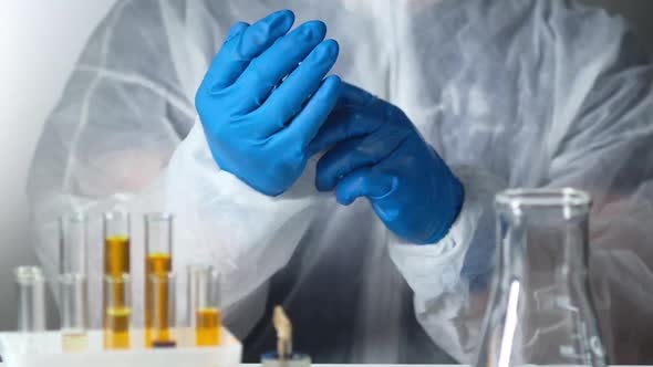Medical researcher on white background puts on protective gloves in laboratory