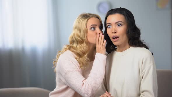 Woman Whispering Her Exited Friend About Sale in Shopping Mall, Discount