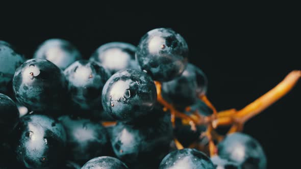 A Bunch of Blue Wet Grapes Spinning Slowly