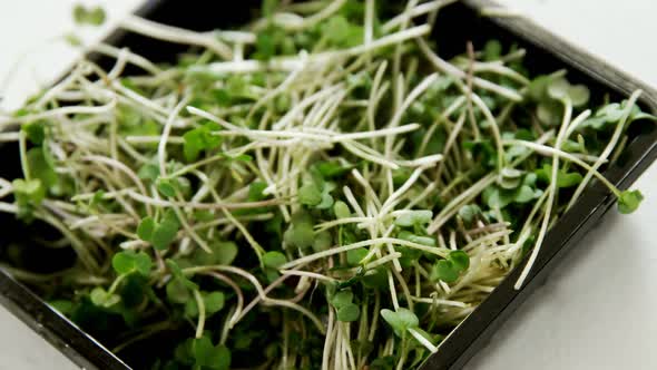 Fenugreek leaves in bowl 4k